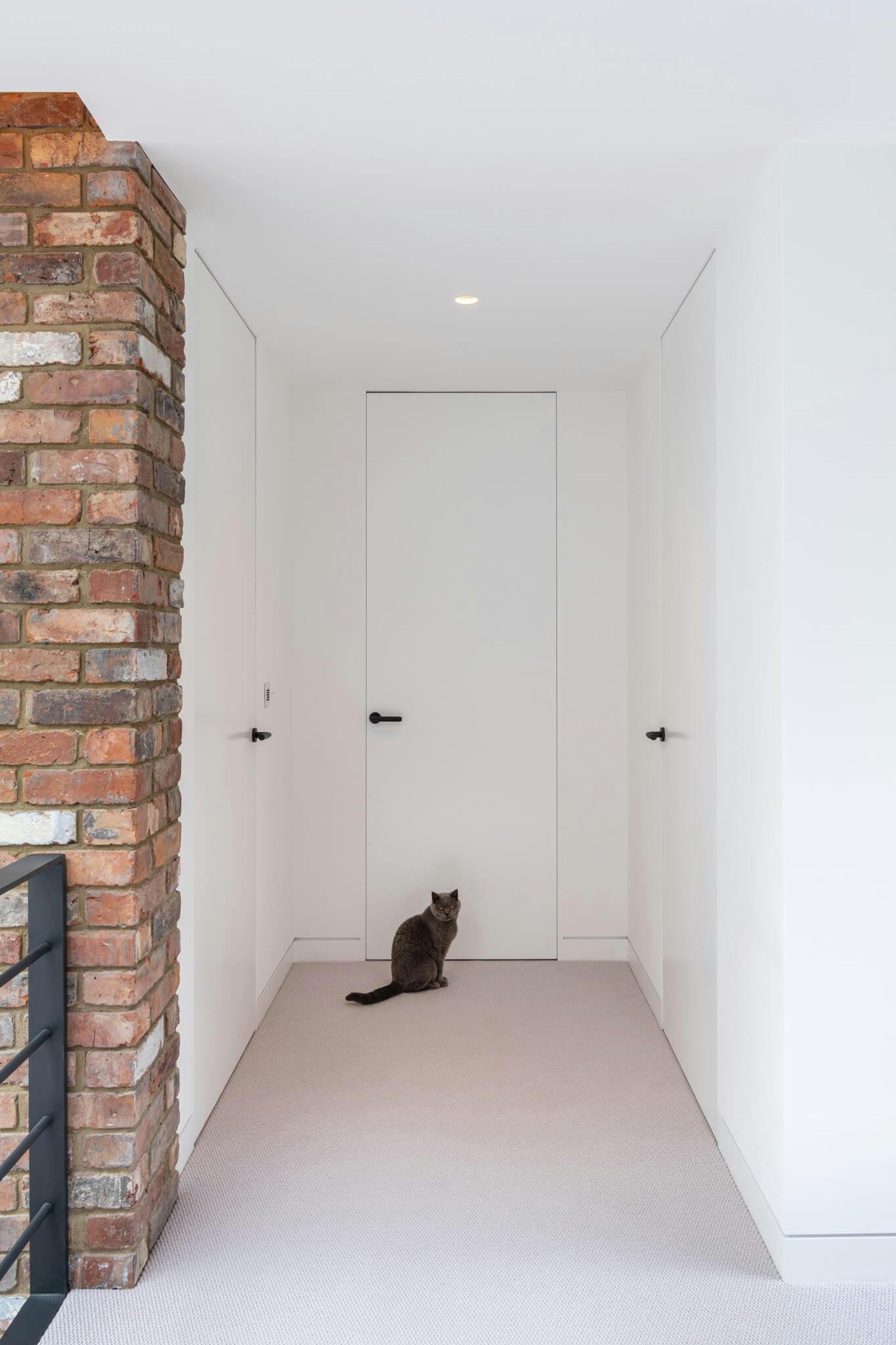 Carpeted corridor with brick feature wall and steel rail leading to a closed white flush door with a black cat sitting in front.