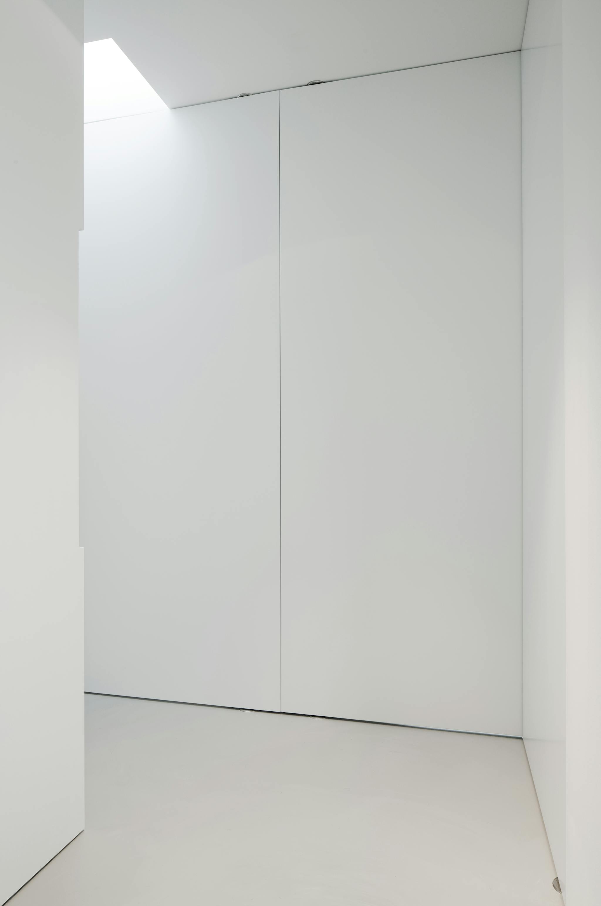 A white minimal space with two closed flush pivoting doors.